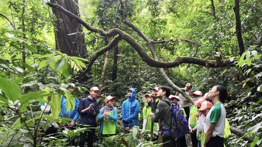 西雙版納勐遠(yuǎn)仙境雨林穿越：帶你探秘原始雨林，尋找神奇的雨林精靈